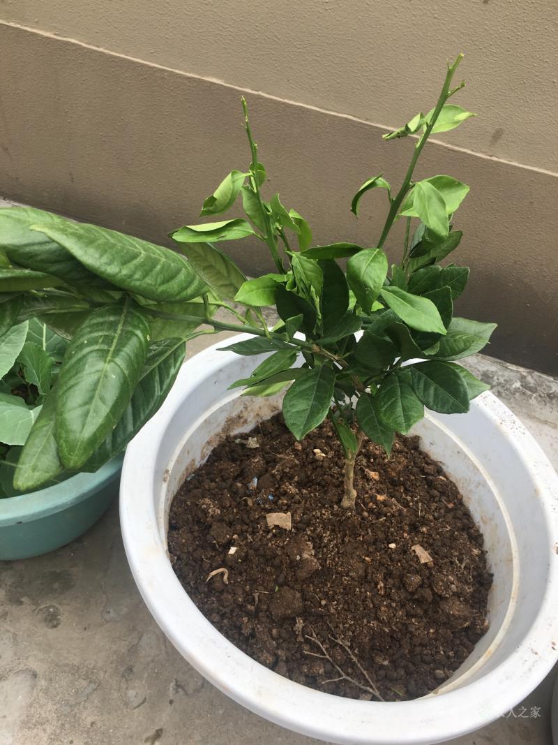 的简单介绍-九游体育